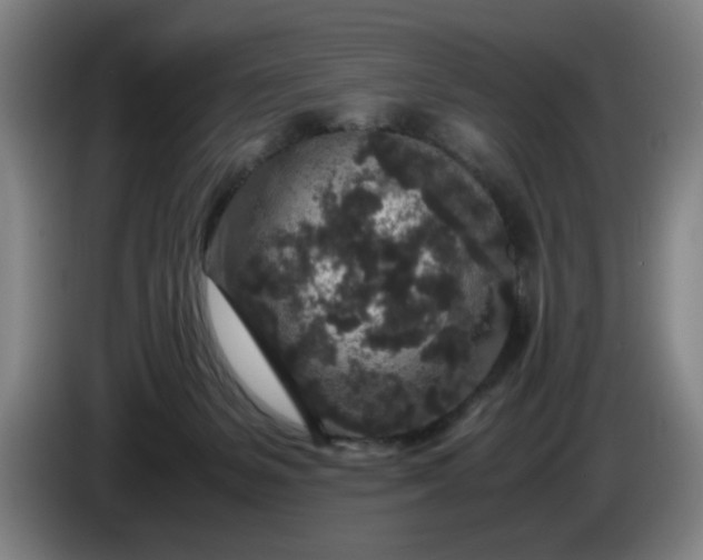 X0000085780127200703301433