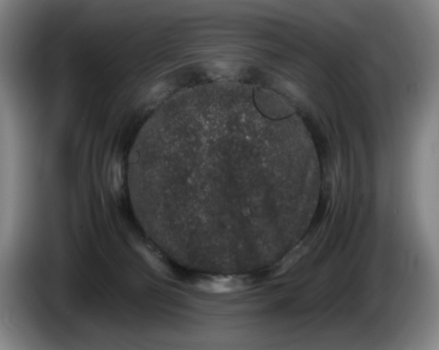 X0000085780130200703301433