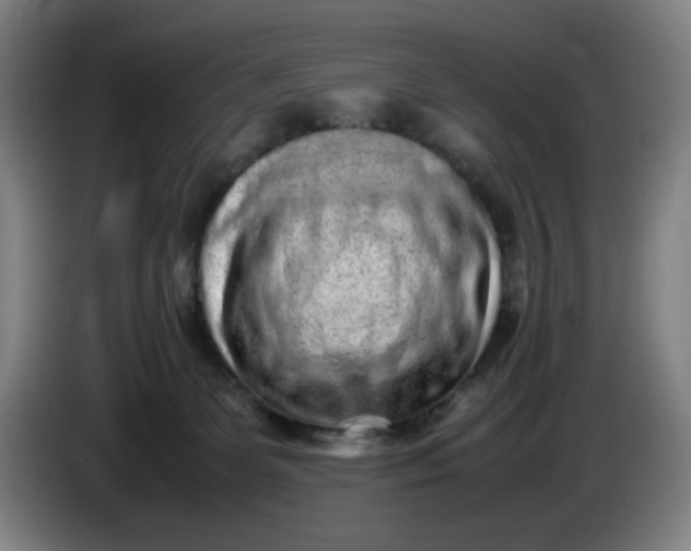 X0000085780131200703301433