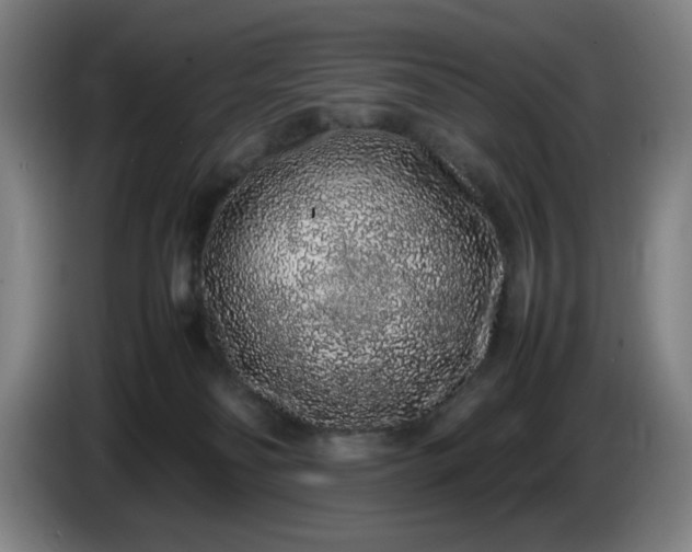 X0000085780134200703301433