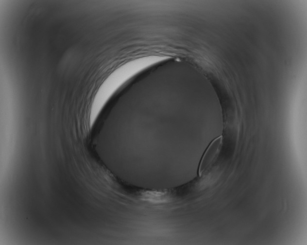 X0000085780139200703301433