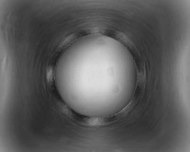 X0000085780142200703301433