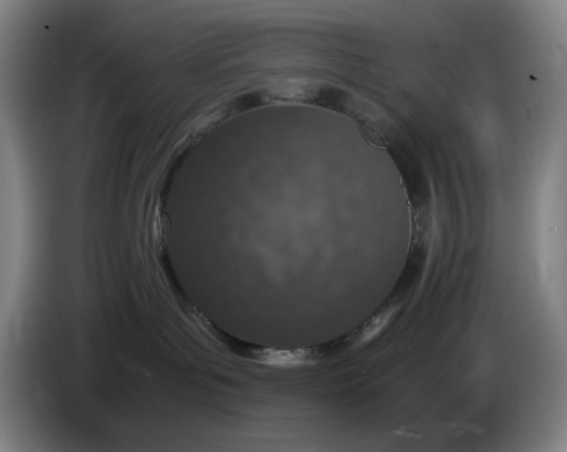 X0000085780143200703301433