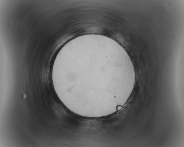 X0000085780146200703301433