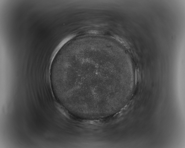 X0000085780147200703301433