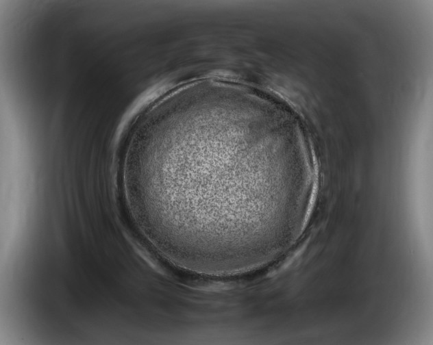 X0000085780149200703301433