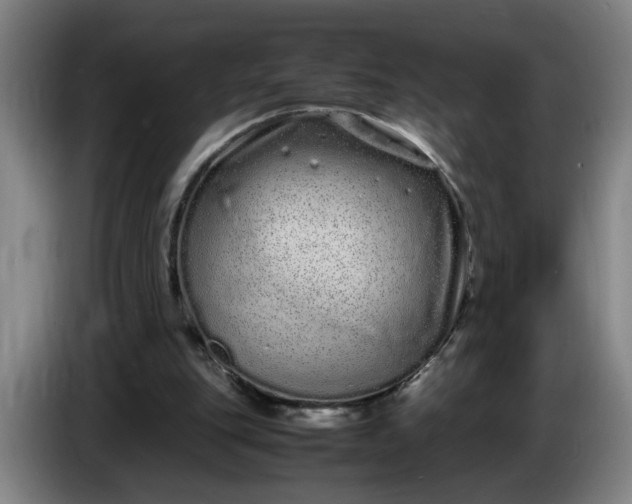 X0000085780151200703301433