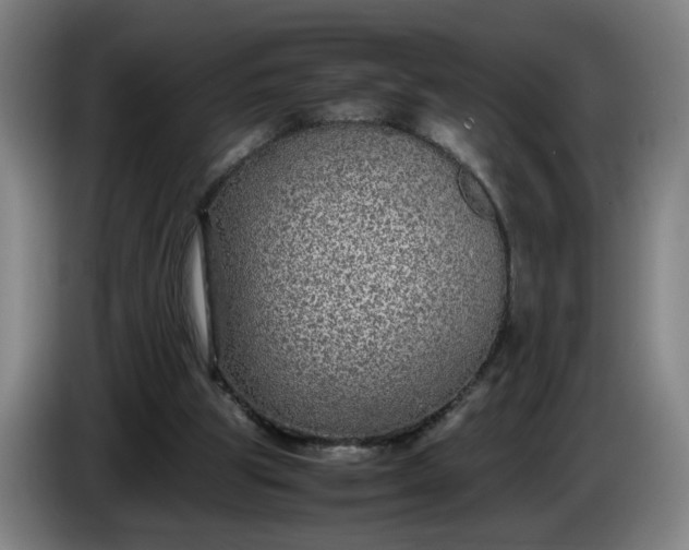 X0000085780153200703301433