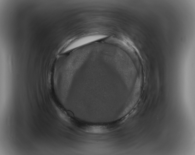 X0000085780154200703301433