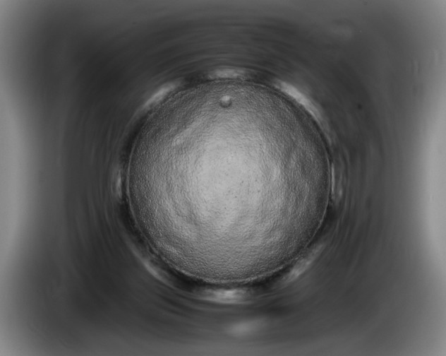 X0000085780157200703301433