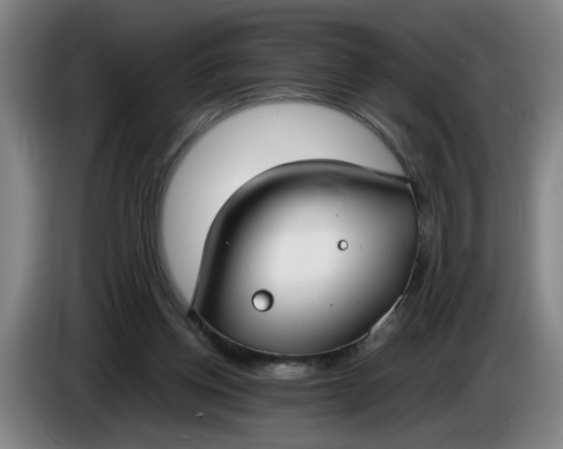 X0000085780158200703301433