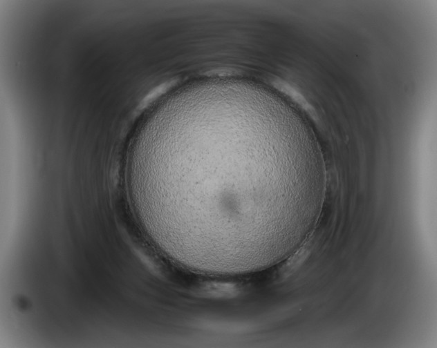 X0000085780159200703301433