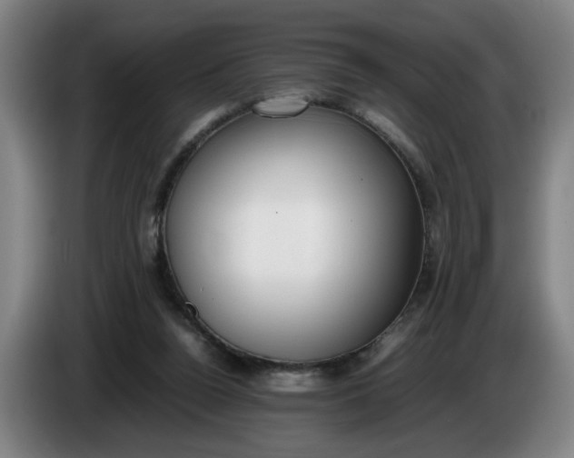 X0000085780160200703301433