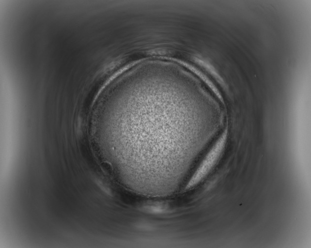 X0000085780161200703301433