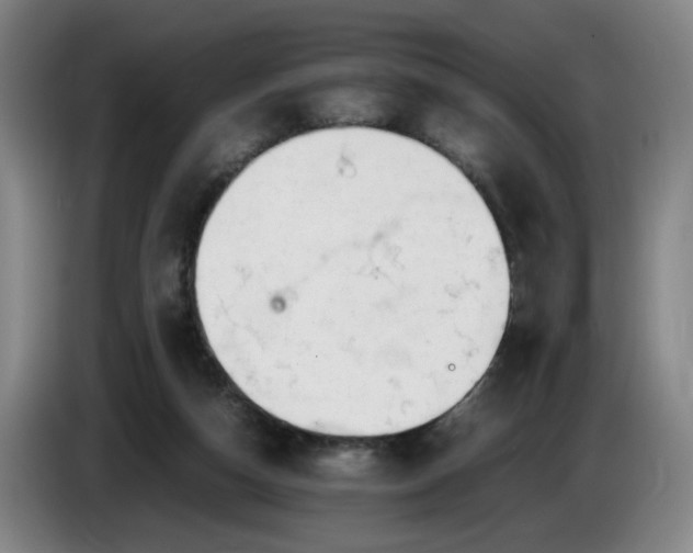 X0000085780162200703301433