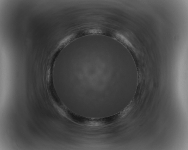 X0000085780163200703301433