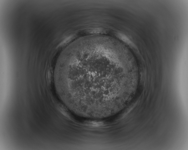 X0000085780165200703301433