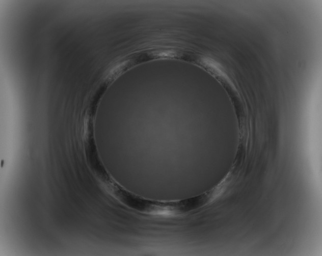 X0000085780167200703301433