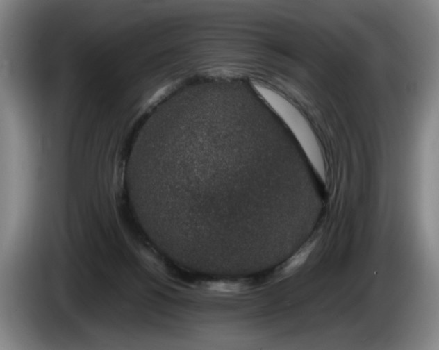 X0000085780168200703301433