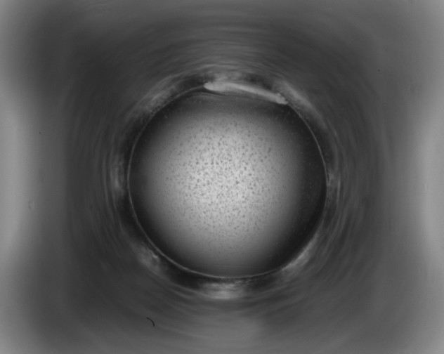 X0000085780170200703301433