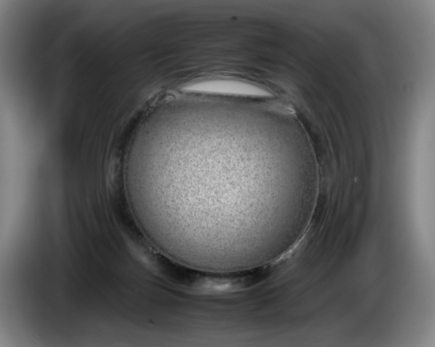 X0000085780171200703301433