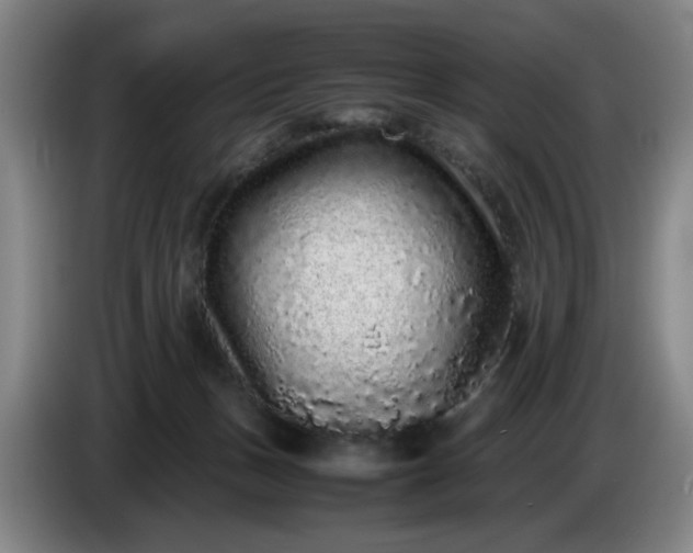 X0000085780175200703301433