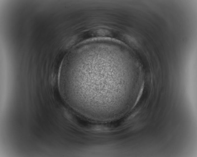 X0000085780177200703301433