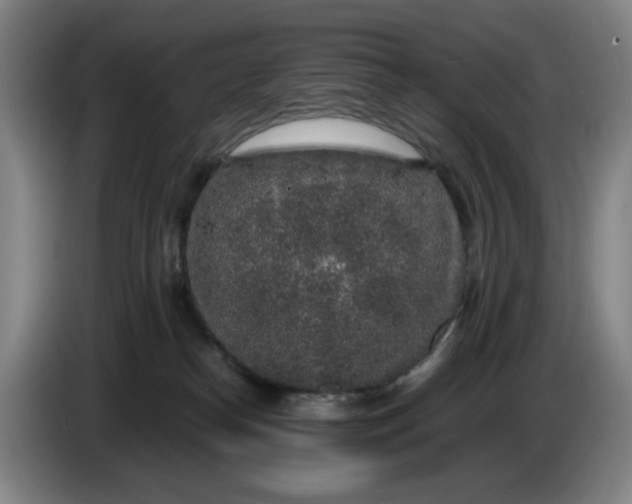 X0000085780182200703301433