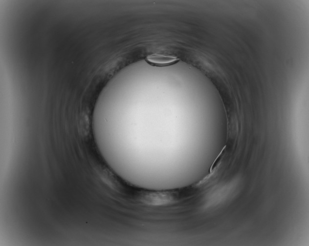 X0000085780183200703301433