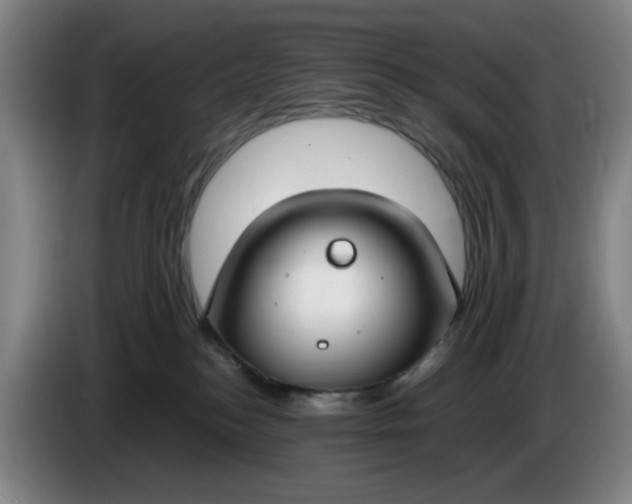 X0000085780184200703301433