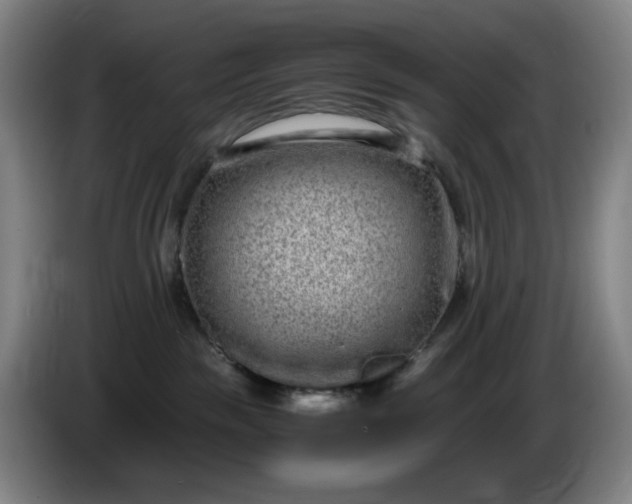 X0000085780189200703301433