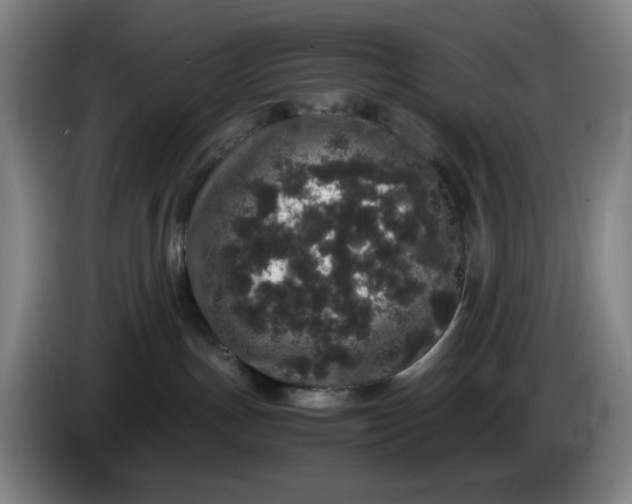 X0000085780191200703301433