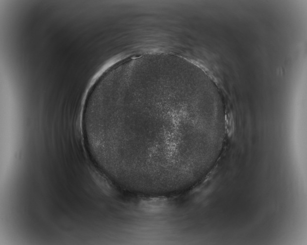 X0000085780196200703301432