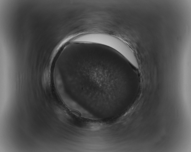 X0000085780200200703301432