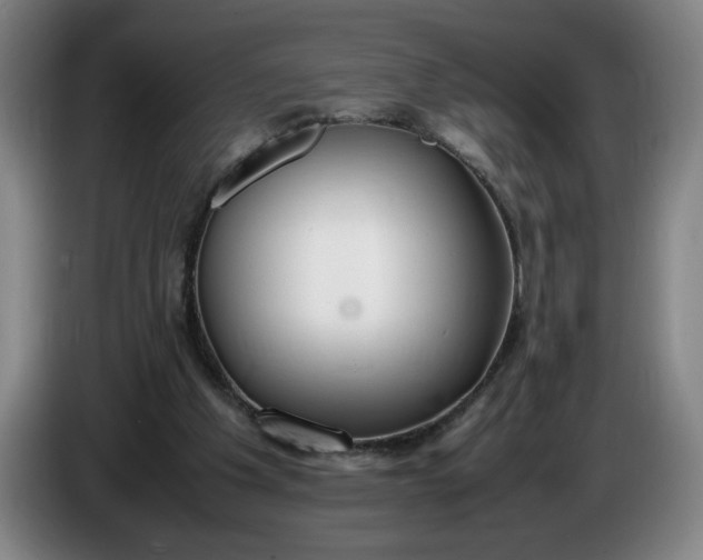 X0000085780201200703301432