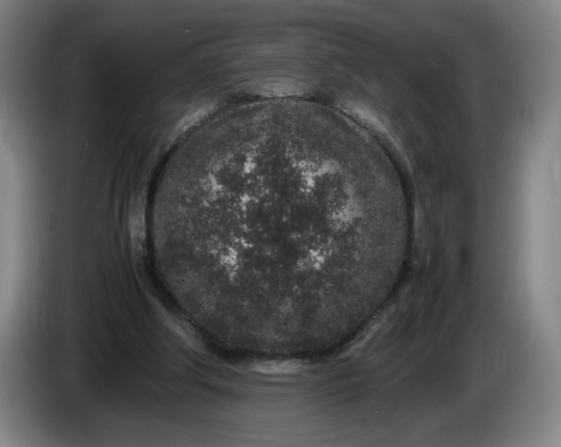 X0000085780202200703301432