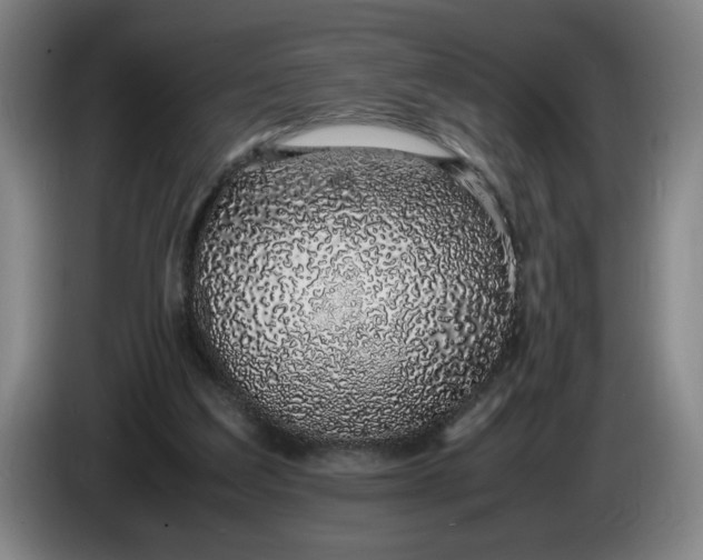 X0000085780203200703301432