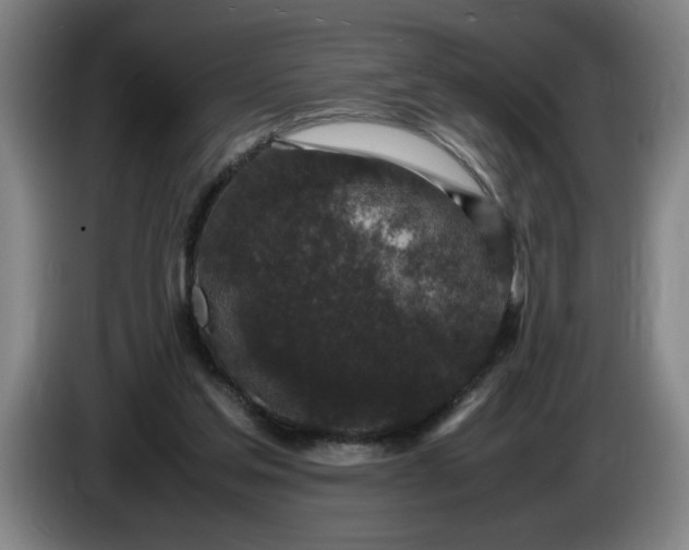 X0000085780205200703301432