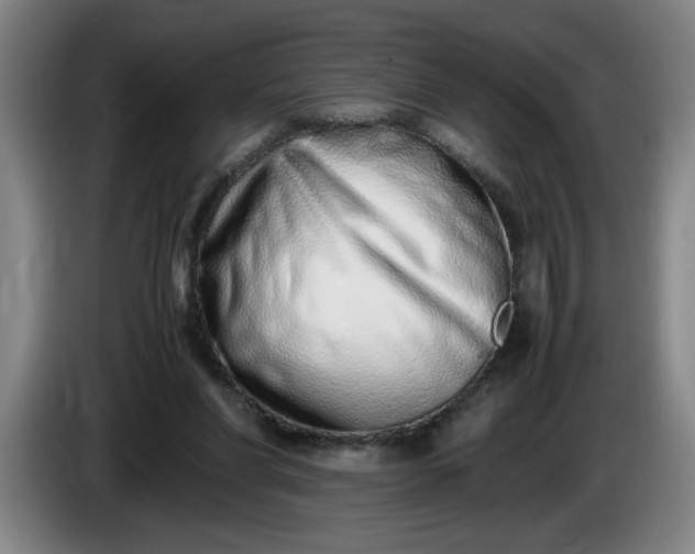 X0000085780206200703301432