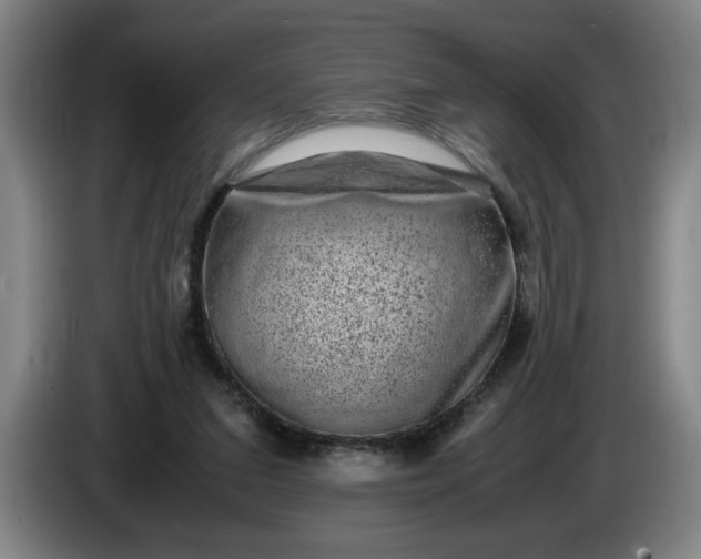 X0000085780207200703301432