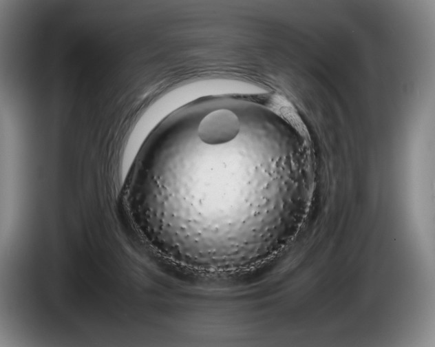 X0000085780211200703301432