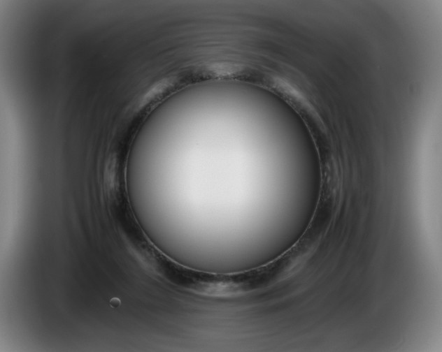 X0000085780212200703301432