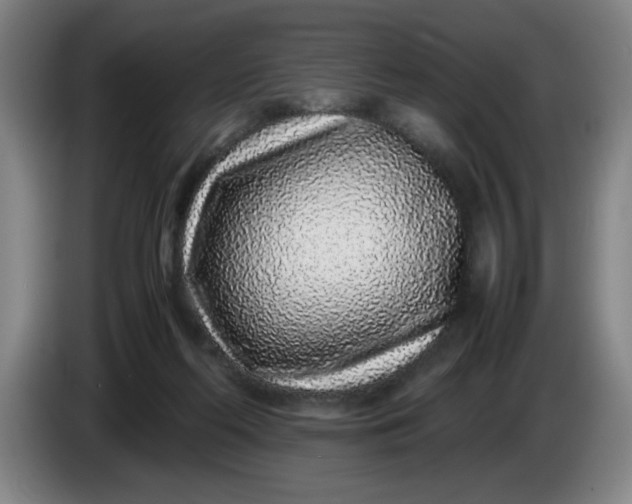 X0000085780214200703301432