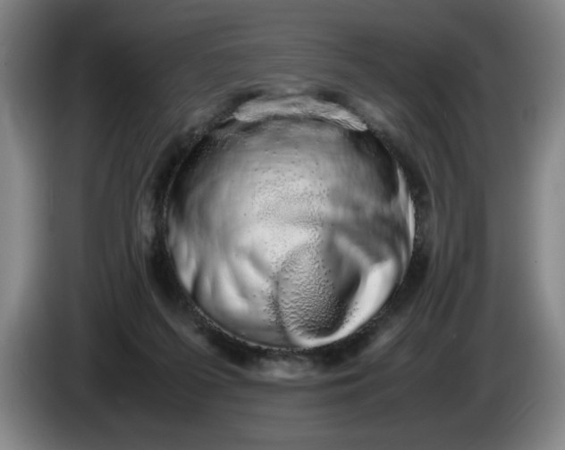 X0000085780215200703301432