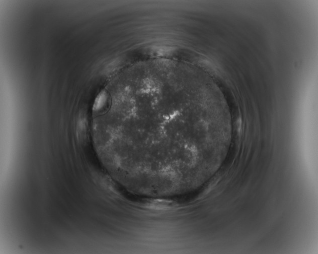 X0000085780222200703301432