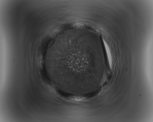 X0000085780223200703301432