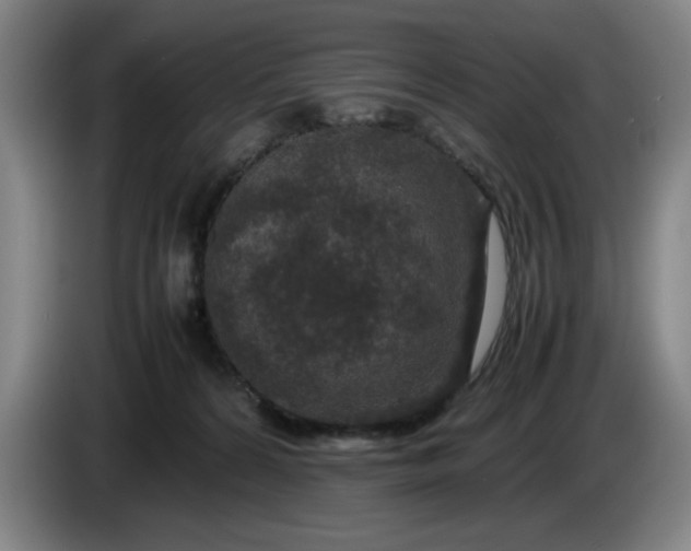 X0000085780224200703301432