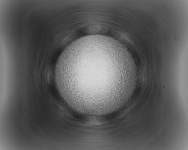 X0000085780226200703301432