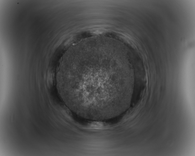 X0000085780227200703301432