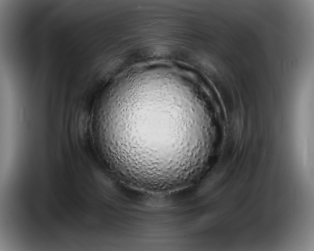 X0000085780230200703301432